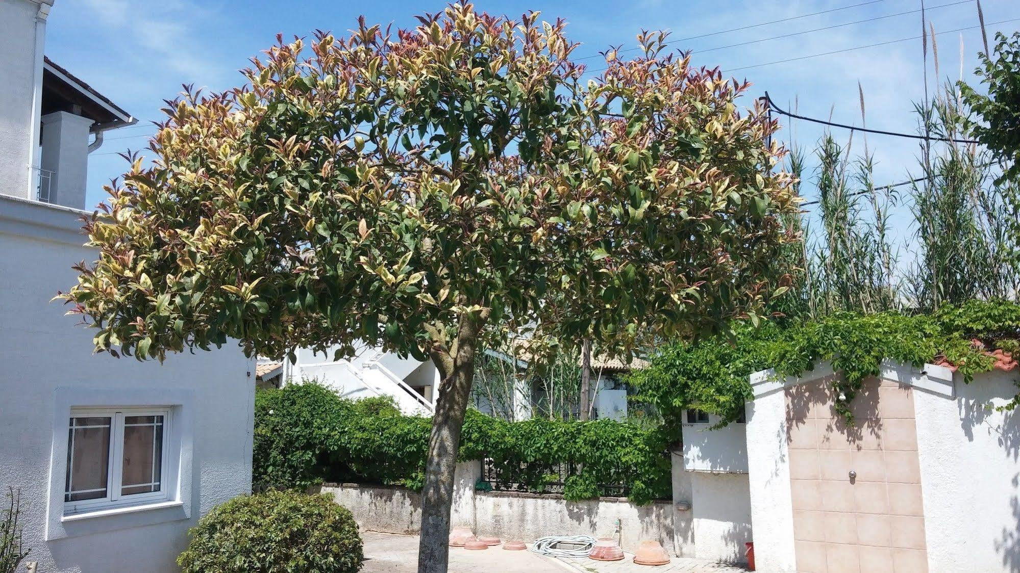 Corfu Anastasia Kontokali Exterior foto